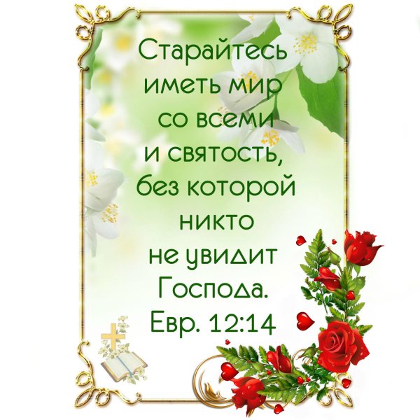 Доброго дня с пожеланиями из Библии