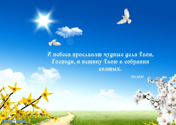 Стихи из Библии в картинках