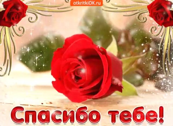 От всей души спасибо за поздравления