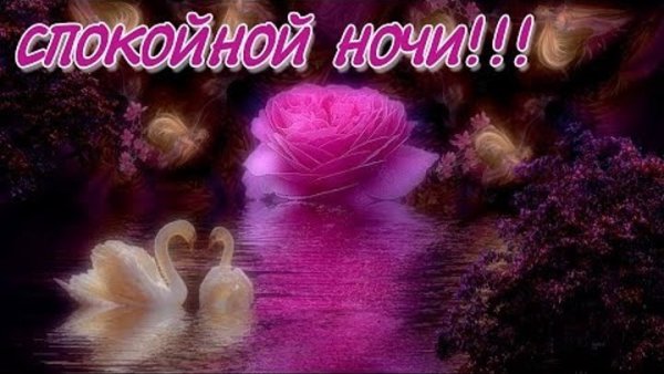 Спокойной ночи сладких снов красивые пожелания романтичные