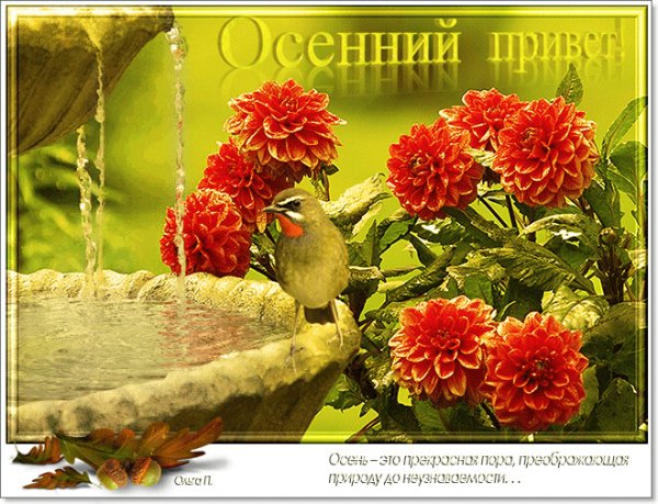 Осенний привет