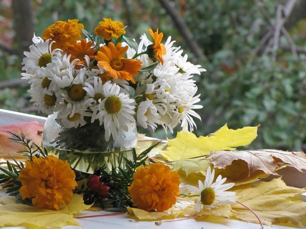 Осенний букет ромашек
