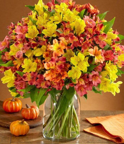 С днем осенних букетов