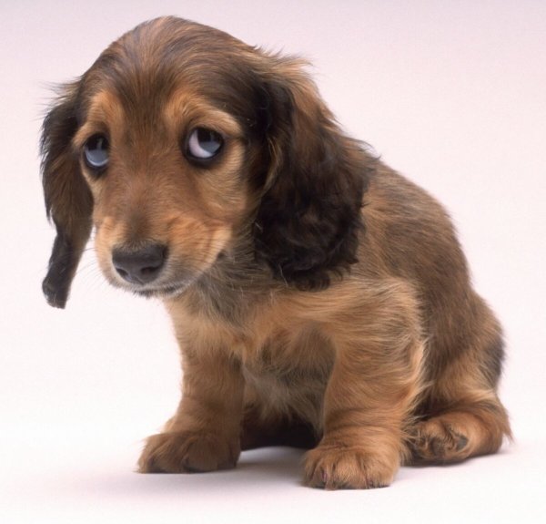 Открытки с извинениями