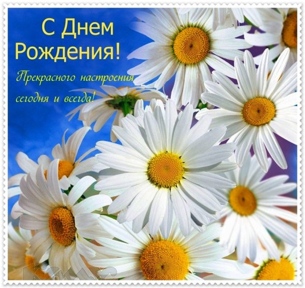 Поздравления с днём рождения ромашки