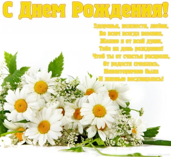 С днём рождения ромашки