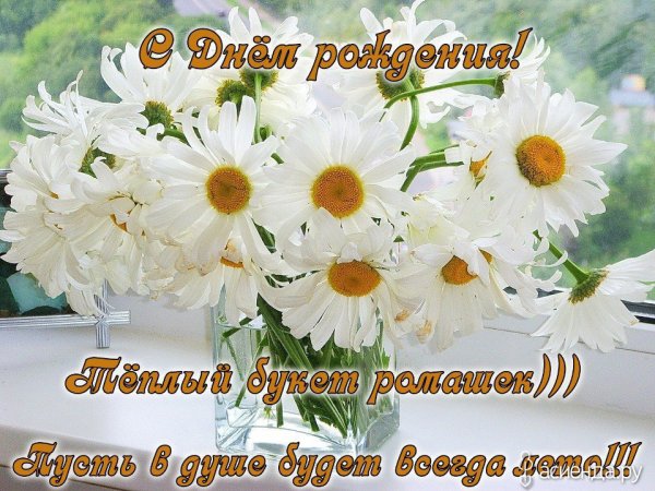 С днём рождения ромашки