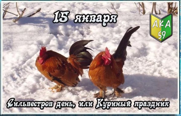 Январь середина зимы