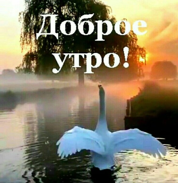 Доброе утро Православие