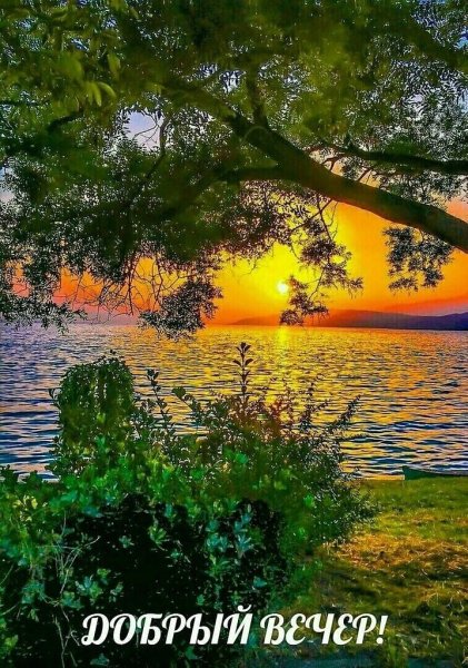 Путь Господь храгит вас и ваших близких