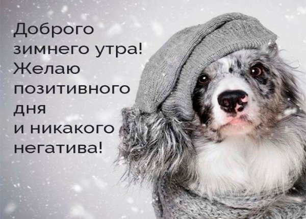 Доброе зимнее субботнее утро