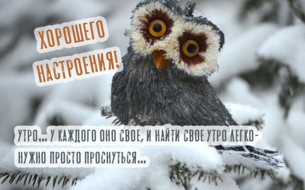 С добрым холодным утром