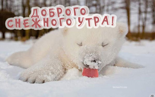 Весна холодно