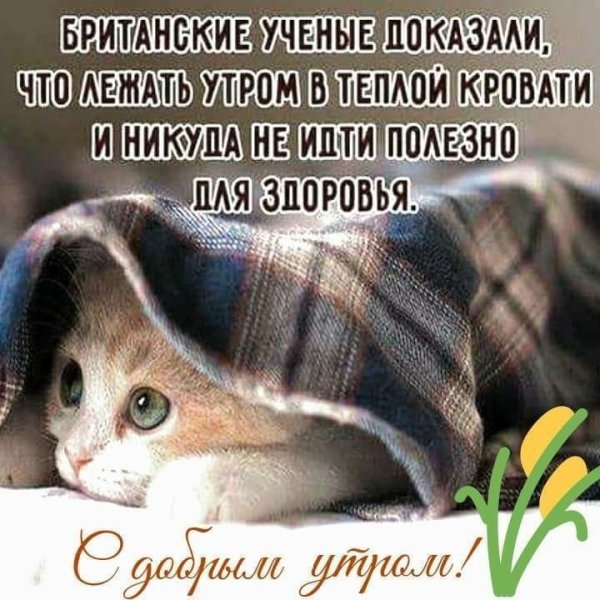 Зимние поздравления с добрым утром