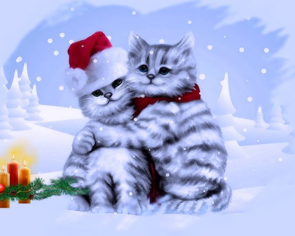 Коты Рины Зенюк 2020 год