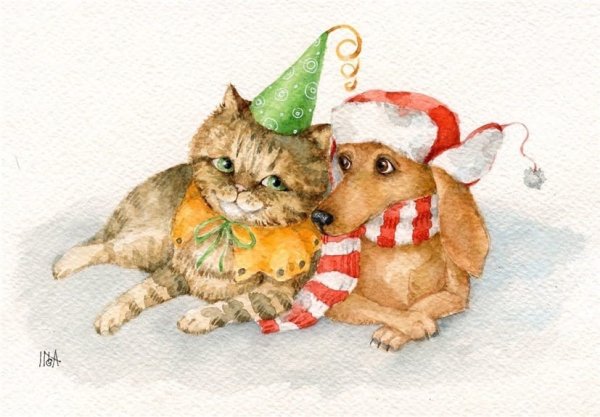 Зайка и котик новогодние открытки