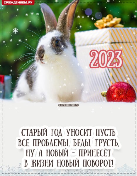 Зайчик в новогодней шапке