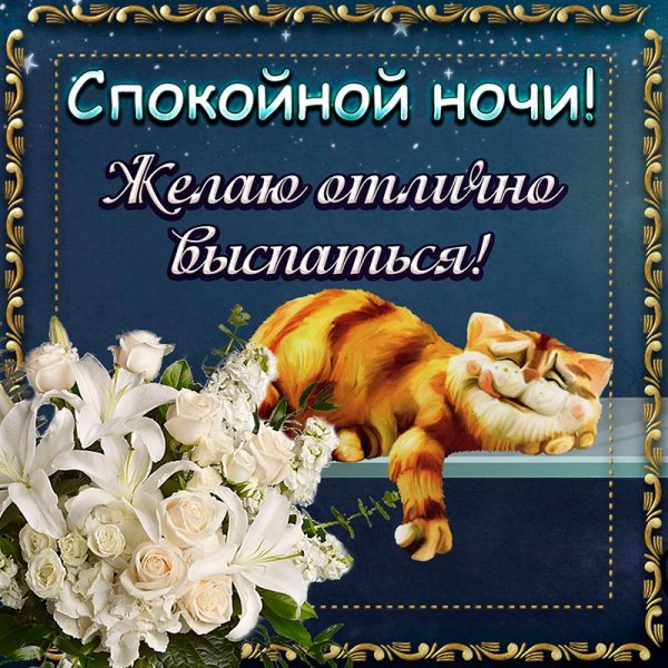 Пожелания спокойной ночи