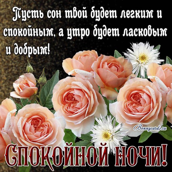 Пожелания спокойной ночи