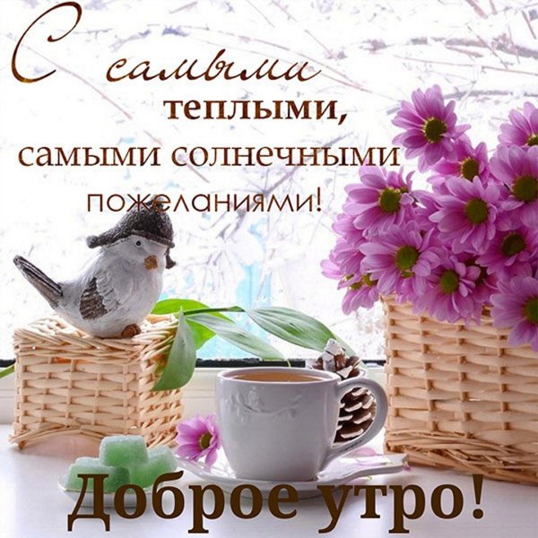 Доброго утра и замечательного дня
