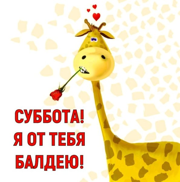 Открытки с субботой прикольные