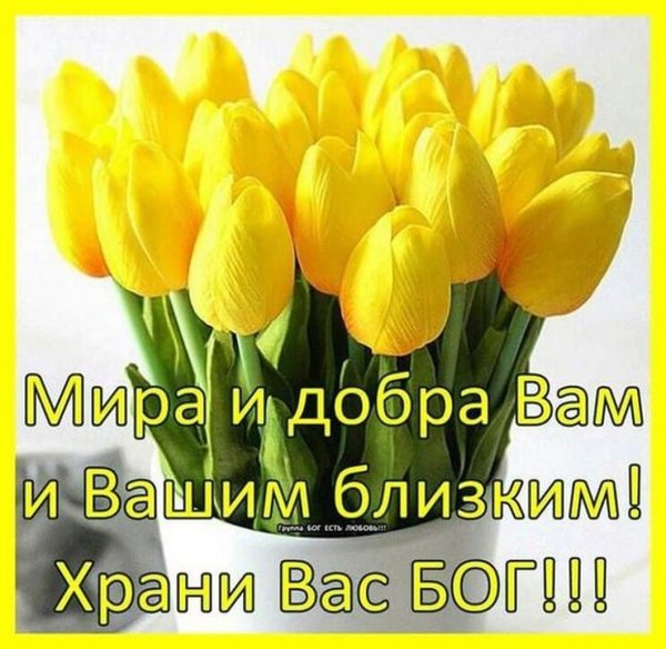 Доброго здоровья вам и вашим близким