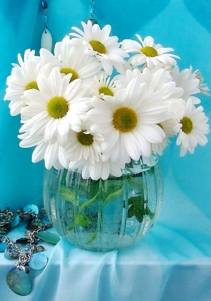 Ромашки в вазе
