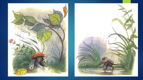 Сутеев в. "под грибом"