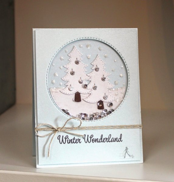 Открытка с шейкером Скрапбукинг