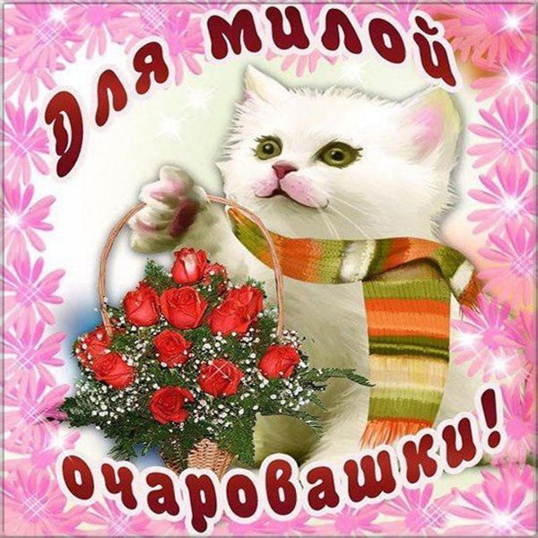 С днём рождения девушке милые