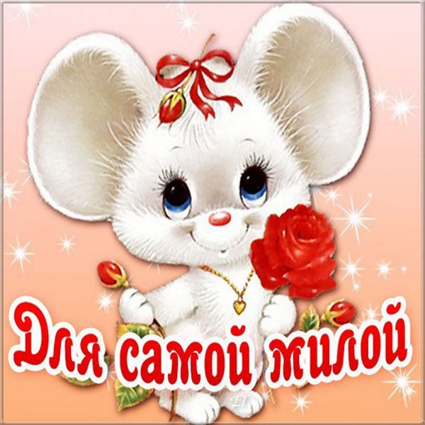 Милые открытки с днем рождения