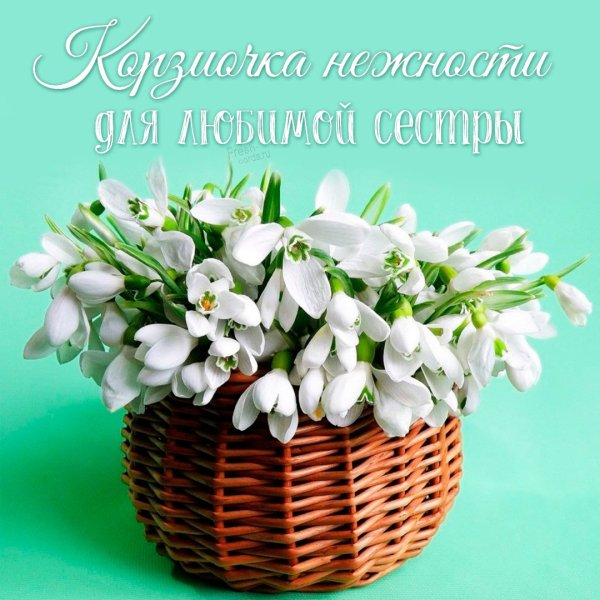 Подснежники в корзине