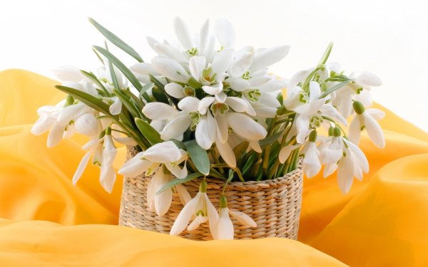 Весенний букет