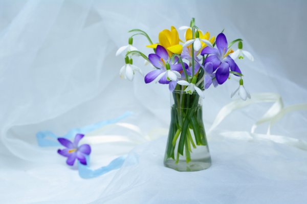 Букет подснежников