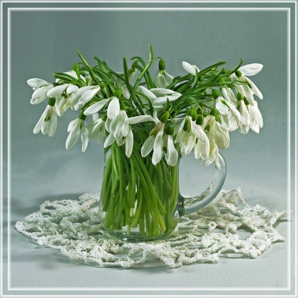 Букет подснежников