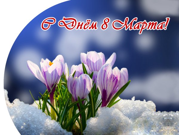 Весенний букет подснежников