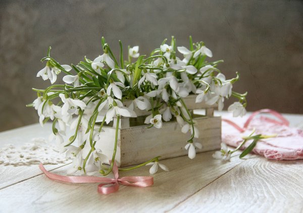 С днем рождения подснежники