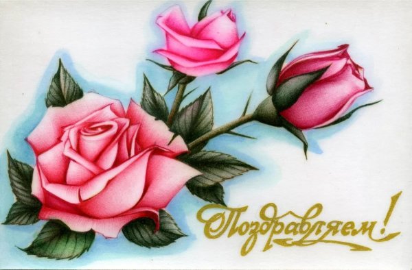 Открытки с рисованными животными