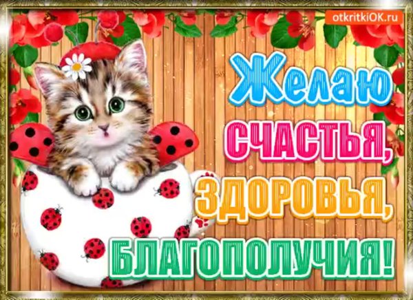Пожелания здоровья и благополучия
