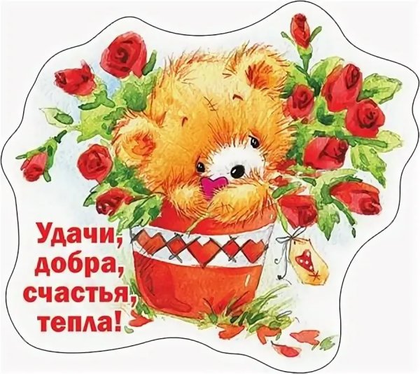 Счастья здоровья