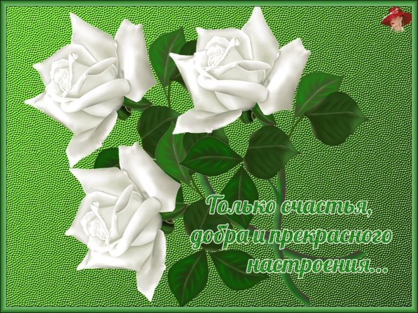 Открытки с пожеланиями счастья и добра