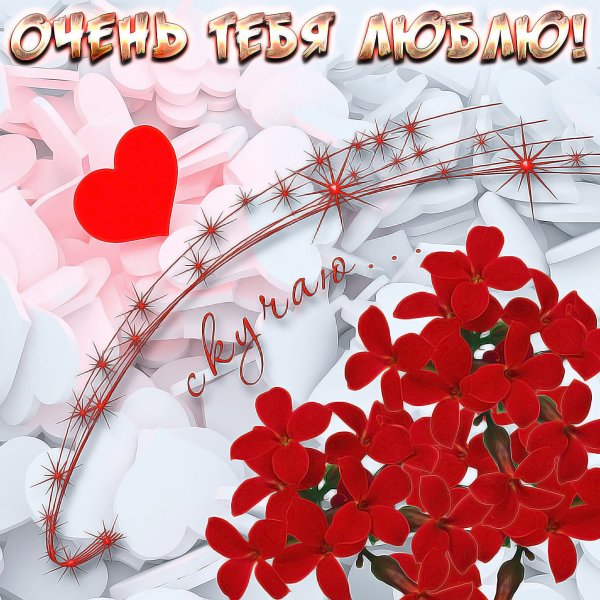 Цветы для любимой девушки