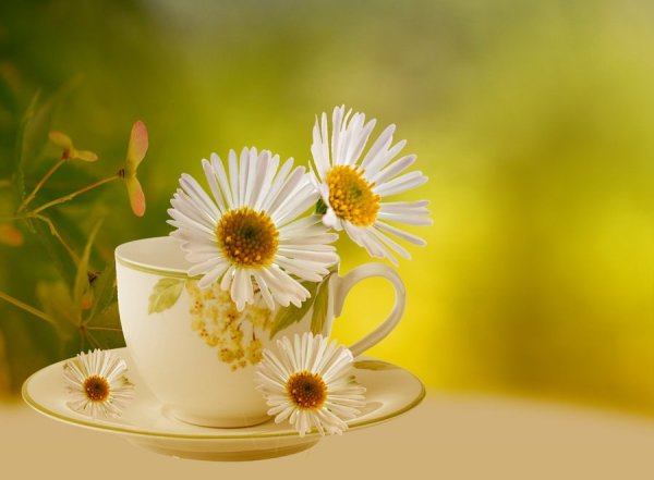 Пожелания доброго утра и хорошего дня