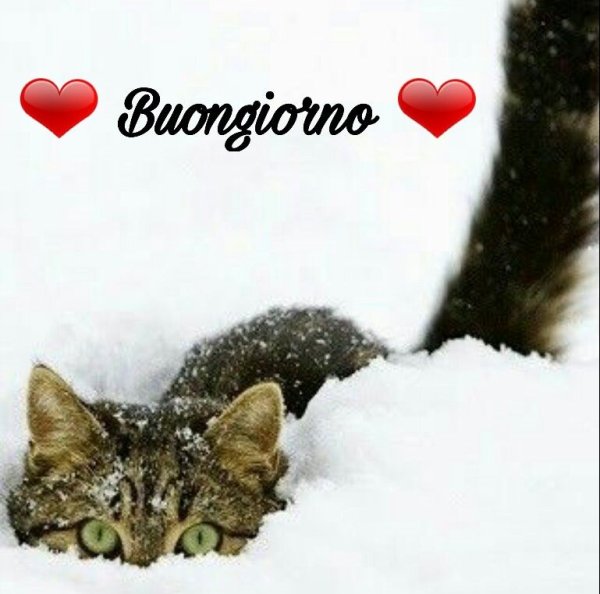 Buona giornata зима