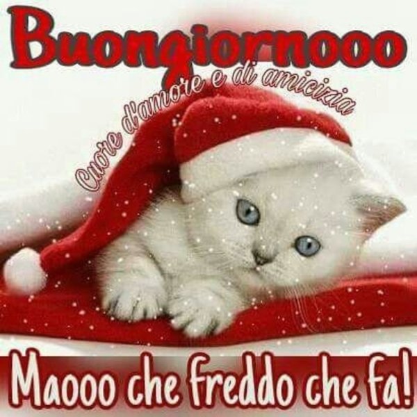 Buongiorno зима