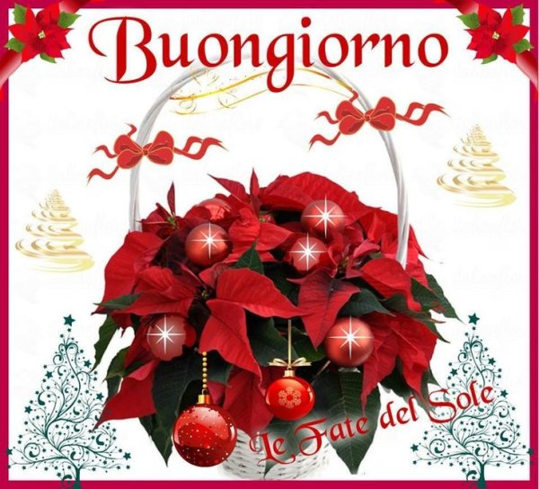 Buongiorno domenica зимние