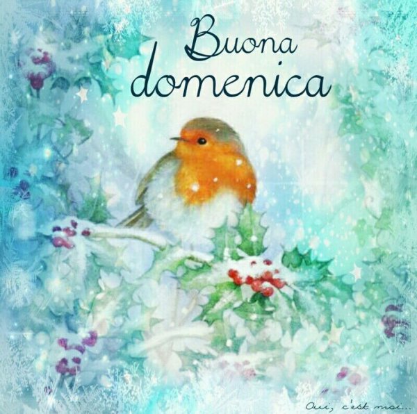 Buon sabato зимние