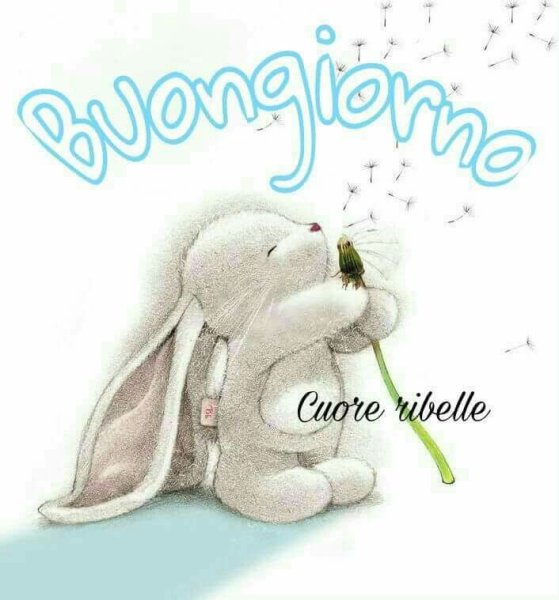 Buongiorno freddo fa картинки