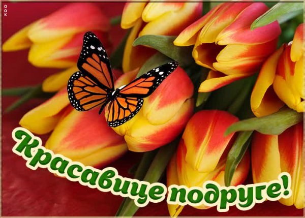 Открытка красавица Вета