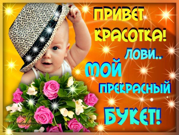 Привет, красотка!